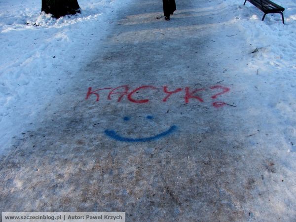 Kacyk szczecin