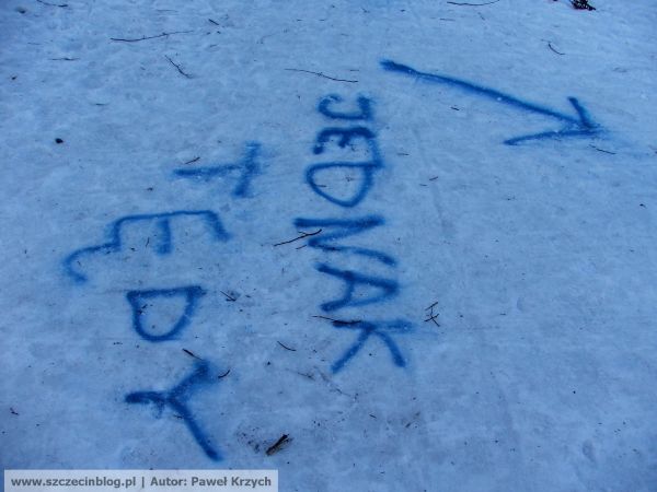 jednak tedy jasne blonia