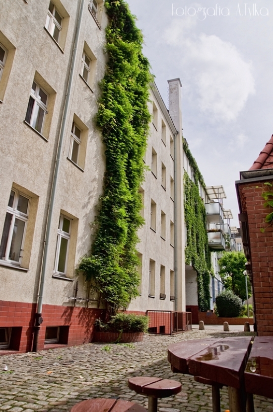 kwartal-turzynski-szczecin-10