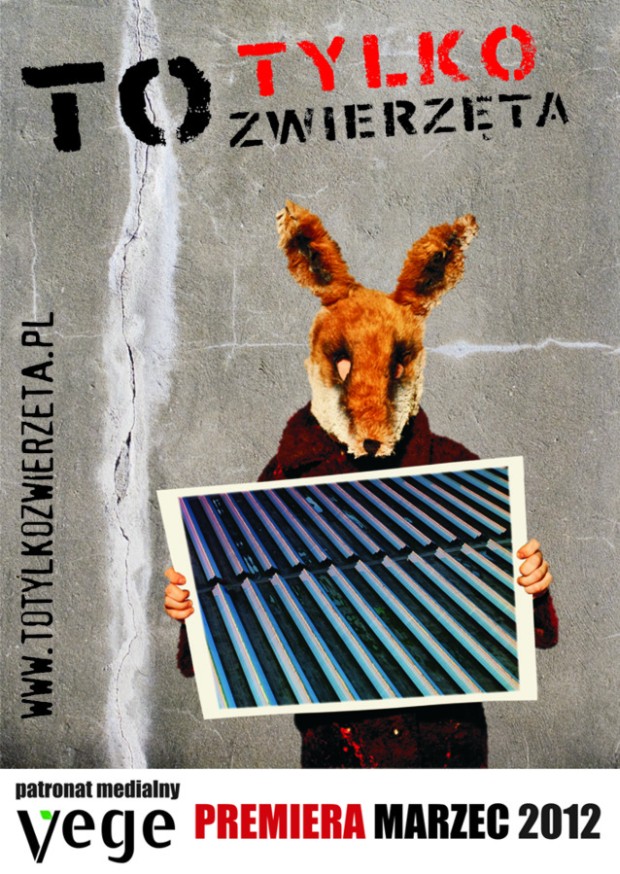 to-tylko-zwierzeta-szczecin