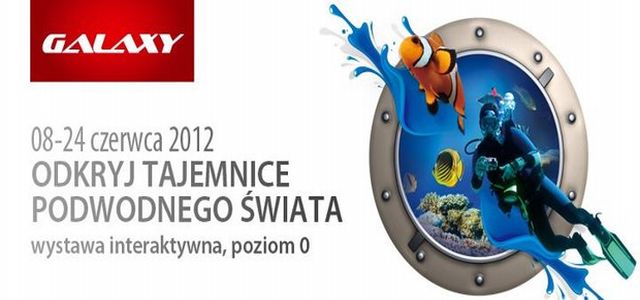 odkryj