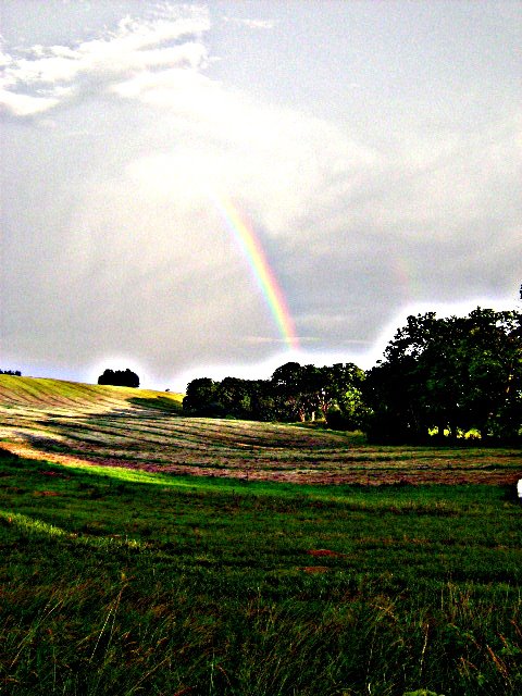 szczecin-i-okolice-niebo-00