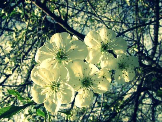 szczecin-i-okolice-niebo-05