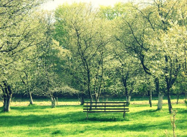 szczecin-i-okolice-niebo-06