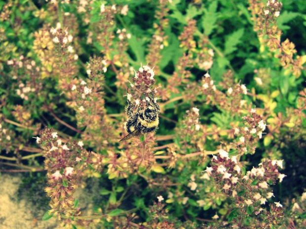 szczecin-i-okolice-niebo-08