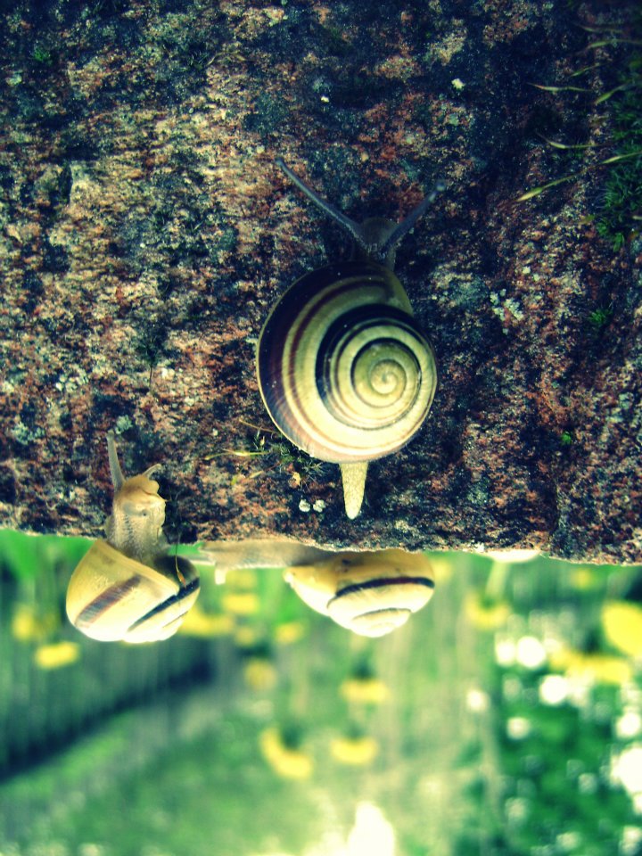 szczecin-i-okolice-niebo-09