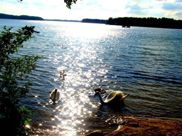 szczecin-i-okolice-niebo-11