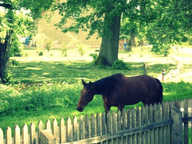 szczecin-i-okolice-niebo-12