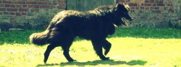 szczecin-i-okolice-niebo-13