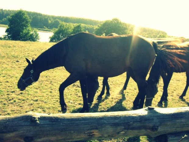 szczecin-i-okolice-niebo-14