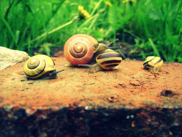 szczecin-i-okolice-niebo-16