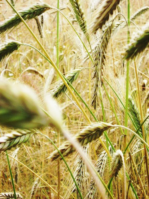 szczecin-i-okolice-niebo-19