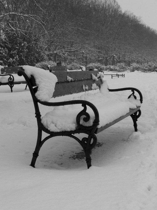 lawka-jasne-blonia-snieg-zima