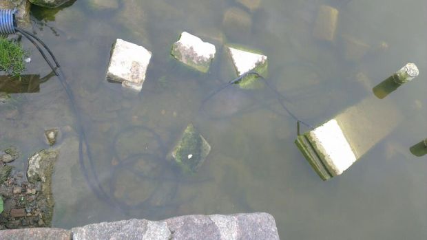 fontanna-staw-brodowski-2013