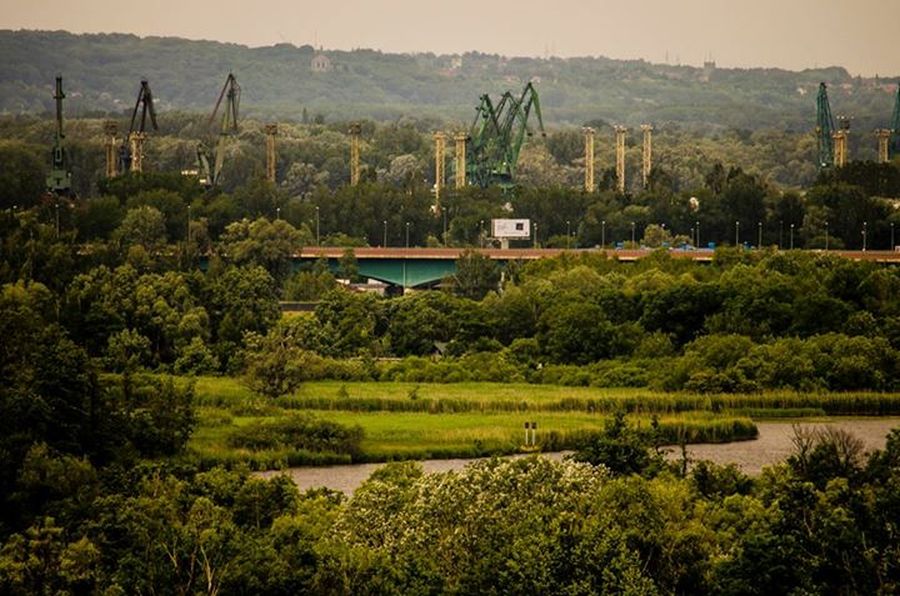 Szczecińskie żurawie, autor zdjęcia: Krzysztof Haściło