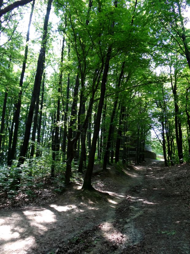 wieza-bismarcka-szczecin-2013-01